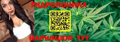 крисы Обнинск